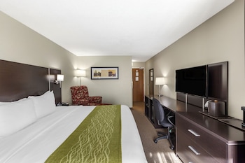 Business Room, 1 King Bed, Non Smoking