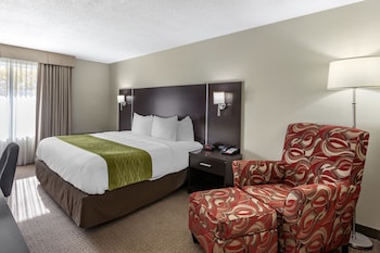 Business Room, 1 King Bed, Non Smoking