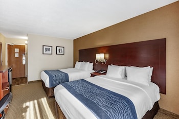 Standard Double Room, 2 Double Beds