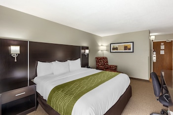 Business Room, 1 King Bed, Non Smoking