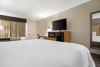 Standard Room, 1 King Bed with Sofa bed, Non Smoking, Refrigerator & Microwave (with Sofabed)