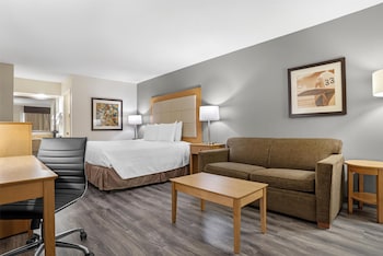 Standard Room, 1 King Bed with Sofa bed, Non Smoking, Refrigerator & Microwave (with Sofabed)