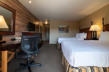 Dog Friendly Queen Queen with Riverview