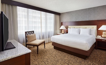 Suite, 1 King Bed