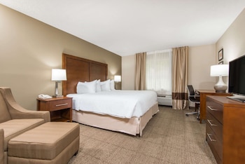 Room, 1 King Bed, Non Smoking