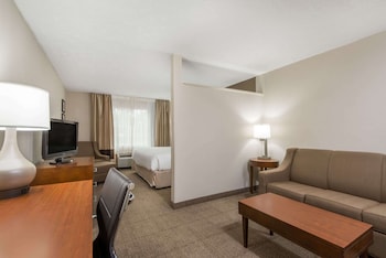 Junior Suite, 1 King Bed, Non Smoking (One-Bedroom)