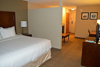 Junior Suite, 1 King Bed, Non Smoking (One-Bedroom)