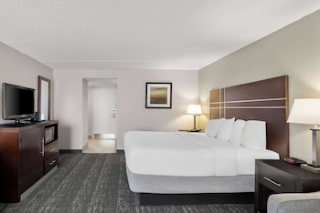 Standard Room, 1 King Bed, Non Smoking, Refrigerator & Microwave (with Sofabed)