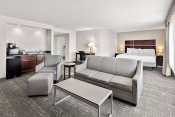 Suite, 1 King Bed, Non Smoking, Jetted Tub (Larger Room;with Sofabed)