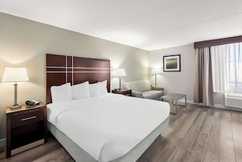 Standard Room, 1 King Bed, Non Smoking (1st Floor;Pet Friendly;with Sofabed)