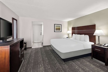 Standard Room, 1 King Bed, Non Smoking, Refrigerator & Microwave (Pet Friendly)
