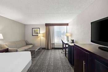Standard Room, 1 King Bed, Non Smoking, Refrigerator & Microwave (with Sofabed)