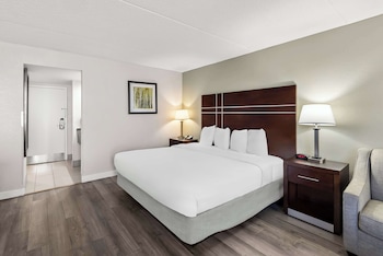 Standard Room, 1 King Bed, Non Smoking (1st Floor;Pet Friendly;with Sofabed)