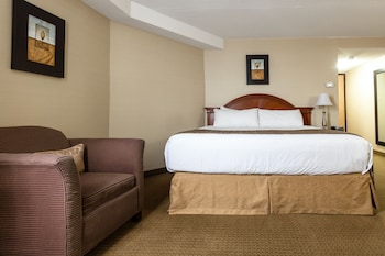Traditional Room, 1 King Bed