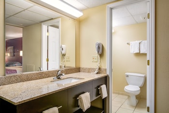 Superior Room, Non Smoking (1 King Bed)