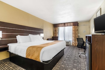 Standard Room, 1 King Bed, Non Smoking