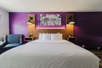 Deluxe Room, 1 King Bed, Mobility Accessible, Non Smoking (Roll-In Shower)
