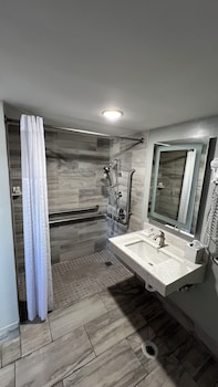Deluxe Room, 1 King Bed, Mobility Accessible, Non Smoking (Roll-In Shower)