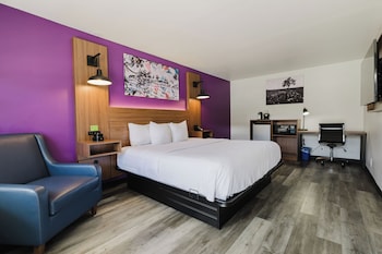 Deluxe Room, Accessible, Non Smoking (1 King Bed, Bathtub w/ Grab Bars)