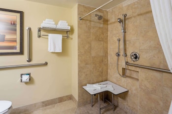Standard Room, 1 King Bed, Accessible, Non Smoking