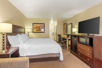 Standard Room, 1 King Bed, Non Smoking, Refrigerator (with Sofabed)