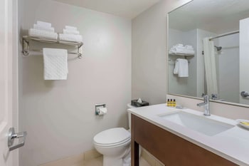 Standard Room, 1 King Bed, Accessible, Bathtub