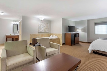Suite, 1 King Bed, Non Smoking, Jetted Tub (with Sofabed)