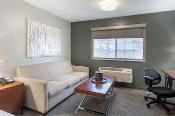 Standard Room, 1 King Bed, Non Smoking, Refrigerator (with Sofabed)