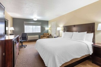 Standard Room, 1 King Bed, Accessible, Non Smoking