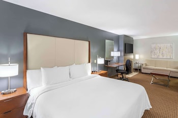 Suite, 1 King Bed, Non Smoking, Jetted Tub (with Sofabed)