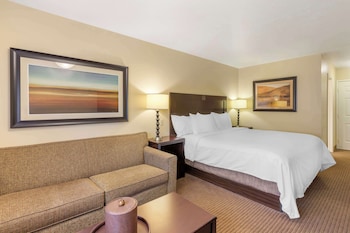 Standard Room, 1 King Bed, Non Smoking, Refrigerator (with Sofabed)