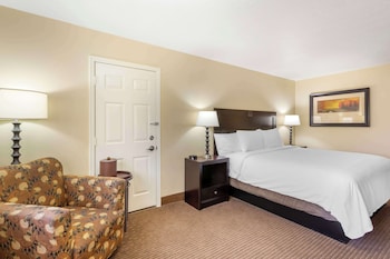 Standard Room, 1 King Bed, Accessible, Non Smoking