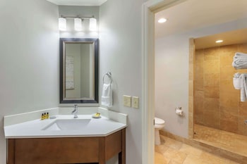 Suite, 1 King Bed, Non Smoking, Jetted Tub (with Sofabed)