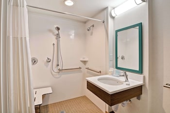 One Queen Bed, Non-Smoking, Roll In Shower