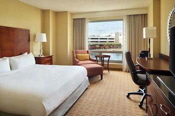 Room, 1 King Bed