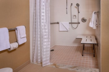 Room, 1 King Bed (Mobility Accessible, Roll-In Shower)