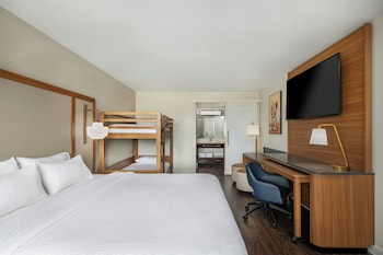 Room, 1 King Bed
