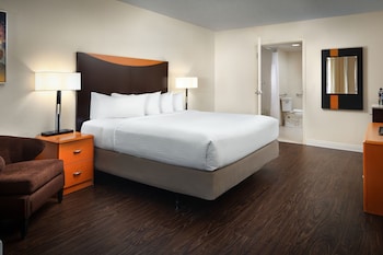 Room, 1 King Bed