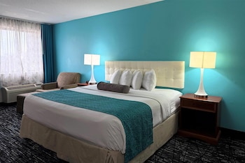 Standard Room, 1 King Bed, Non Smoking