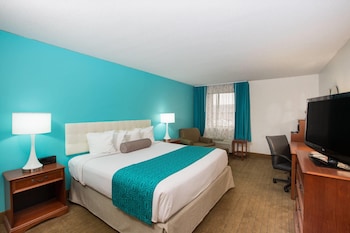 Standard Room, 1 King Bed, Accessible, Non Smoking