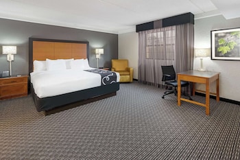 Room, 1 King Bed, Accessible, Non Smoking (Bathtub)