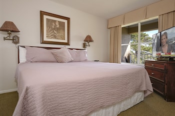 Deluxe Condo, 1 Bedroom
