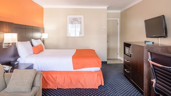 Room, 1 Queen Bed, Non Smoking