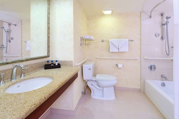 Room, 1 Queen Bed, Mobility Accessible, City View