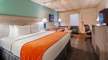 Standard Room, 1 King Bed, Non Smoking, Refrigerator & Microwave (Larger Room;with Sofabed)