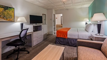 Standard Room, 1 King Bed, Non Smoking, Refrigerator & Microwave (Larger Room;with Sofabed)