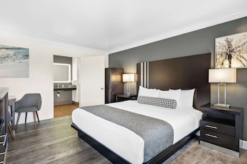 Standard Room, 1 King Bed, Accessible, Non Smoking