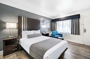 Standard Room, 1 Queen Bed, Non Smoking, Refrigerator