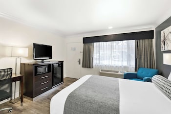 Standard Room, 1 Queen Bed, Non Smoking, Refrigerator