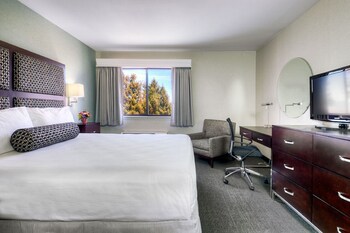 Room, 1 King Bed, Accessible